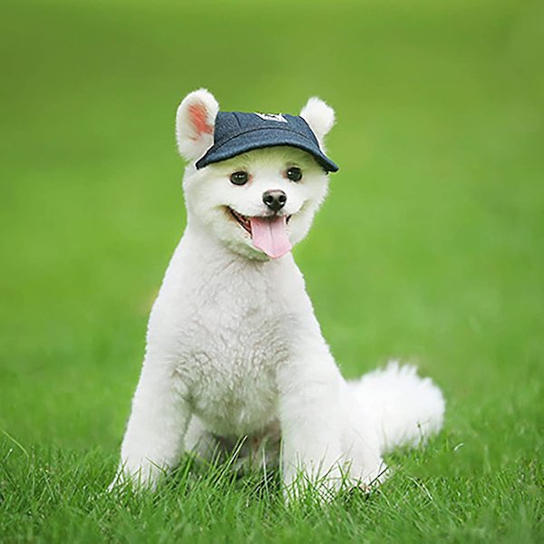 Hatt för hundar, solskyddskeps med öronhål Sommarhund Katt Basebollkeps Valphatt UV-skydd (M, Svart)