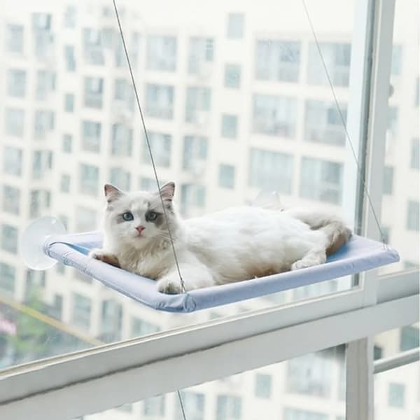 Fönsterhängmatta för katt - Husdjursbädd - Blå