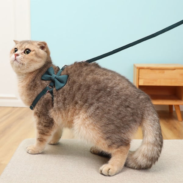 Bowknot husdjurssele koppel Söt justerbar kattunge valp bär axelbälte med koppel för hund katt 1/1,5 m lång Nyhet coffee s