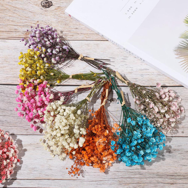 Färgglada torkade blommor Små naturliga torkade blomväxter Mini riktiga buketter Heminredning mini bouquet blue