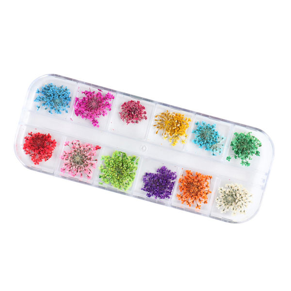 12 Grid Torr Blomma Fin Glitter Nail Art Dekoration Färgglada Nageltillbehör för kvinnor 3