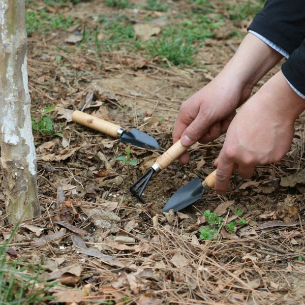 3st Mini Trädgårdsväxtkruka Trädgårdsredskap Liten hållbar spade Rake Spade as show