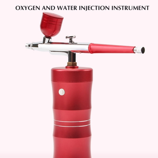 Hydrating Face Humidifier Spray Handheld USB Oxygen Injection Moisturizer för Face Home Spa Hud pink