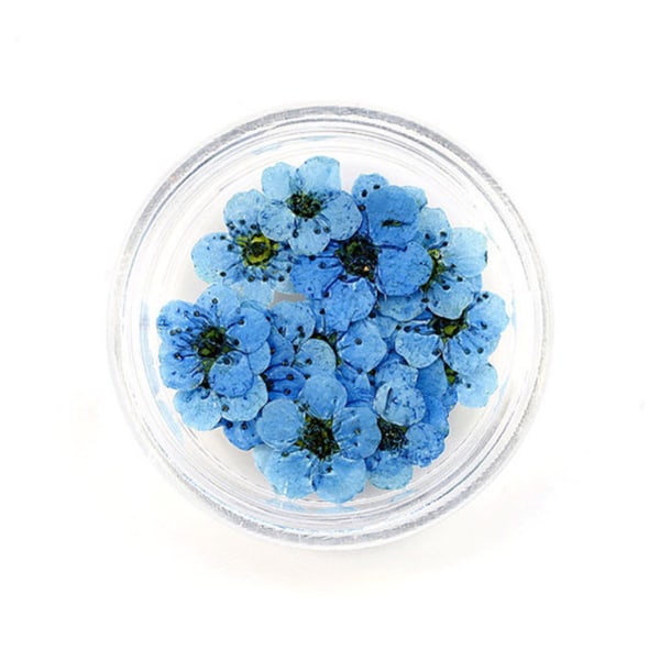 20 st 8 mm spetspressade blommor Torkade blommor Epoxiharts Nail Art präglade smycken sky blue