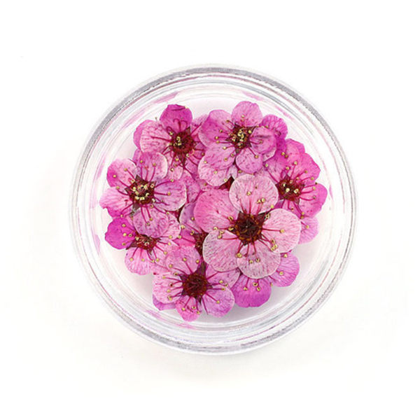 20 st 8 mm spetspressade blommor Torkade blommor Epoxiharts Nail Art präglade smycken deep purple