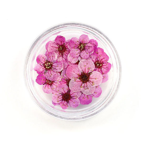 20 st 8 mm spetspressade blommor Torkade blommor Epoxiharts Nail Art präglade smycken pink