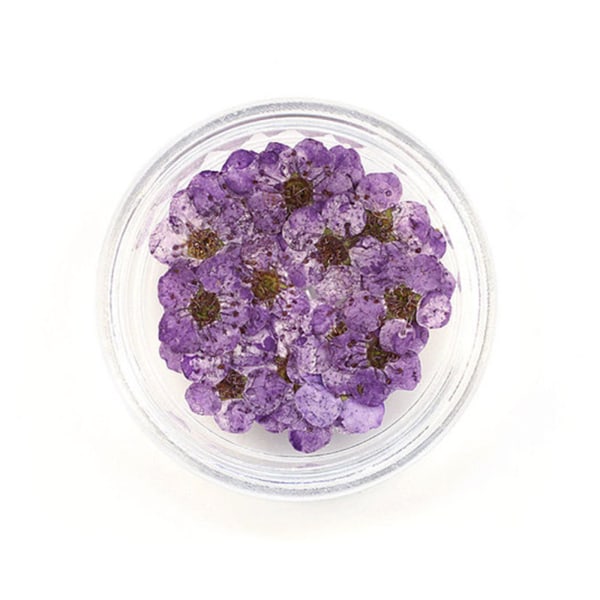 20 st 8 mm spetspressade blommor Torkade blommor Epoxiharts Nail Art präglade smycken deep purple