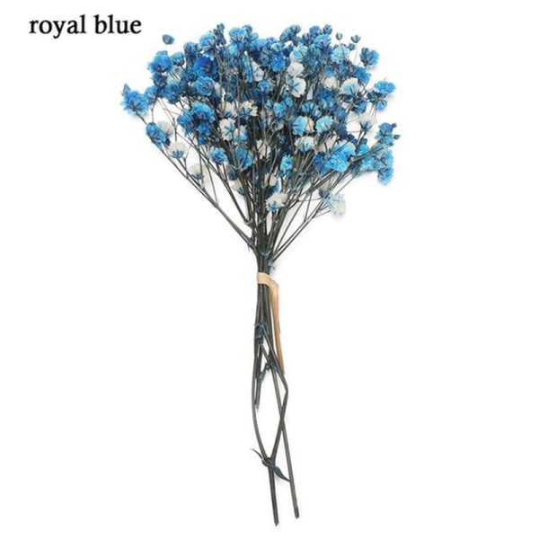 Färgglada torkade blommor Små naturliga torkade blomväxter Mini riktiga buketter Heminredning mini royal blue