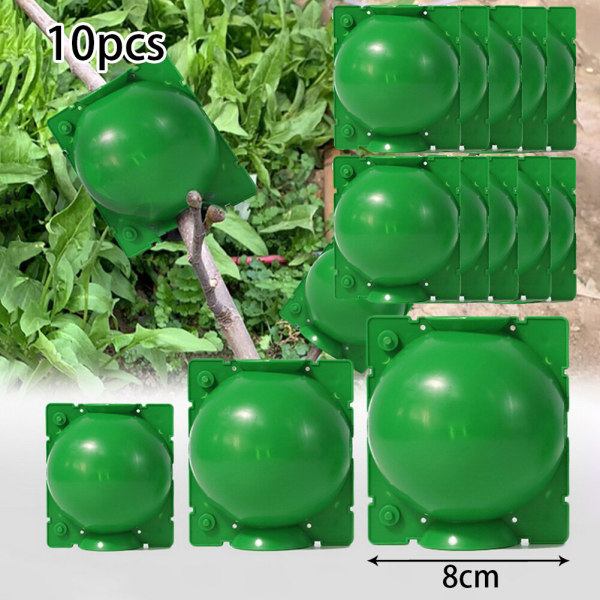 10 st 5/8CM Återanvändbar Ympningslåda Växtrotning Växtlåda Tryck Hög förökning Kullager Pod Planteringsverktyg 10st 5CM Svart 10pcs 8cm green