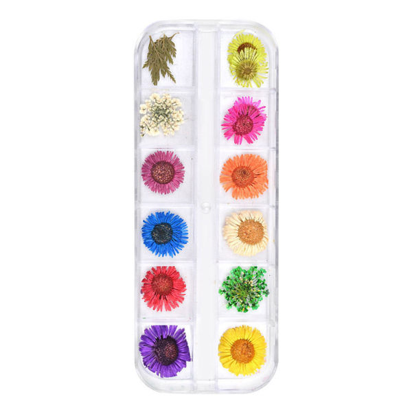 12 rutnät torkade blommor Nail Art Strass Kit Multicolor Nail Art dekorationer b