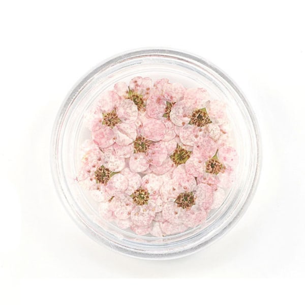 20 st 8 mm spetspressade blommor Torkade blommor Epoxiharts Nail Art präglade smycken pink