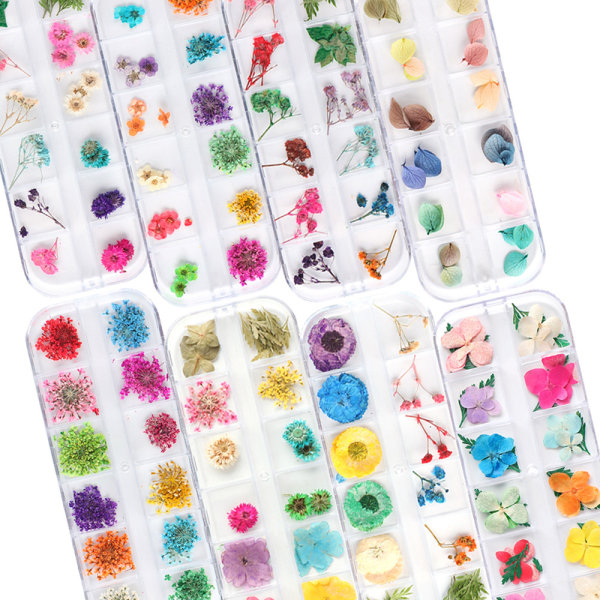 12 Grid Torr Blomma Fin Glitter Nail Art Dekoration Färgglada Nageltillbehör för kvinnor 33