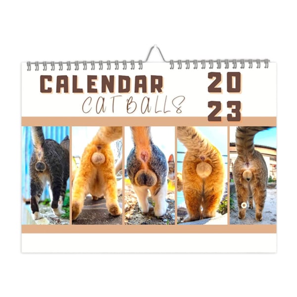 Cat Buttholes Calendar 2023 Väggkalenderdesign 12 månaders väggkalender i landskap 2023 cat calendar