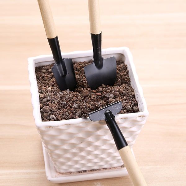 4st Bärbara Mini Plant Verktyg Stark Rostskyddad Trädgård Verktyg Set för krukväxter Krukväxter Blommor thin handle