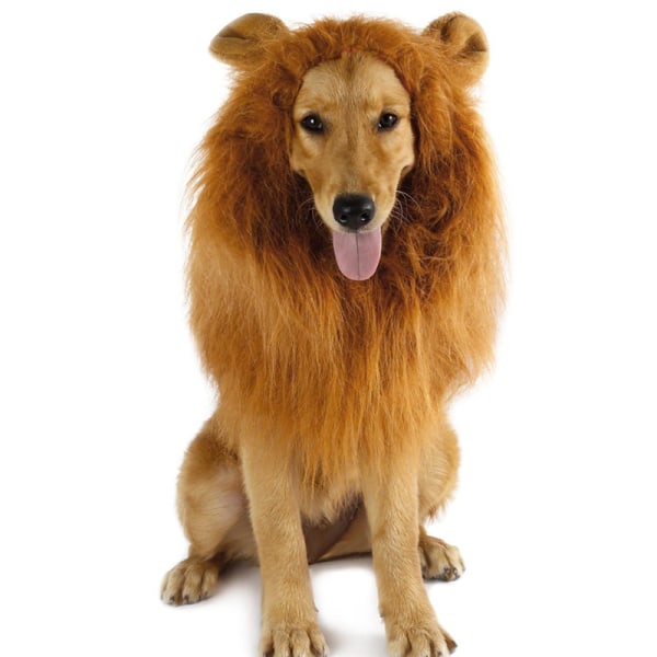 Lion Mane Peruk med öron för stora hund Halloween kläder Fancy Dress Up Husdjur kostymtillbehör default