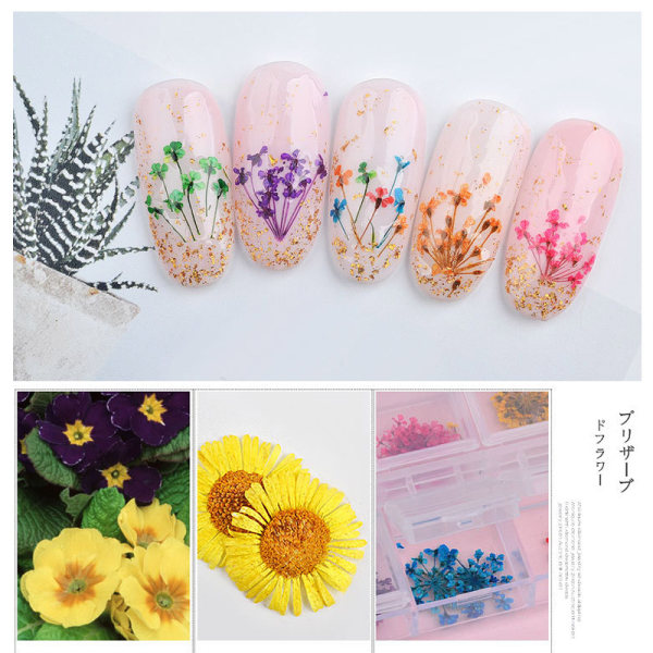 12 rutnät torkade blommor Nail Art Strass Kit Multicolor Nail Art dekorationer c