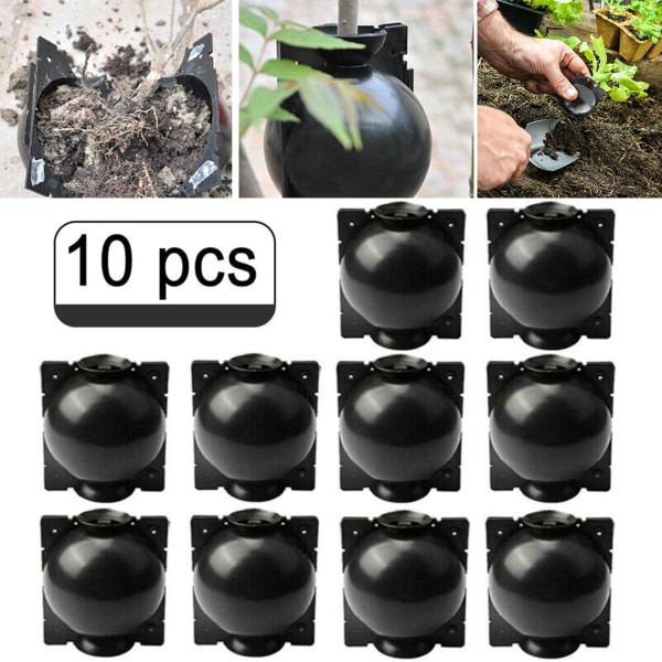 10 st 5/8CM Återanvändbar Ympningslåda Växtrotning Växtlåda Tryck Hög förökning Kullager Pod Planteringsverktyg 10st 5CM Svart 10pcs 8cm black