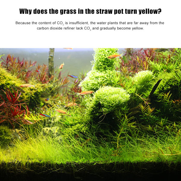 Akvarium CO2 koldioxid tabletter CO2 Akvarium tillbehör för växter Akvarium akvarium spridare levande vatten Gräs as show