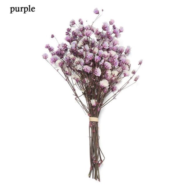 Färgglada torkade blommor Små naturliga torkade blomväxter Mini riktiga buketter Heminredning mini bouquet purple