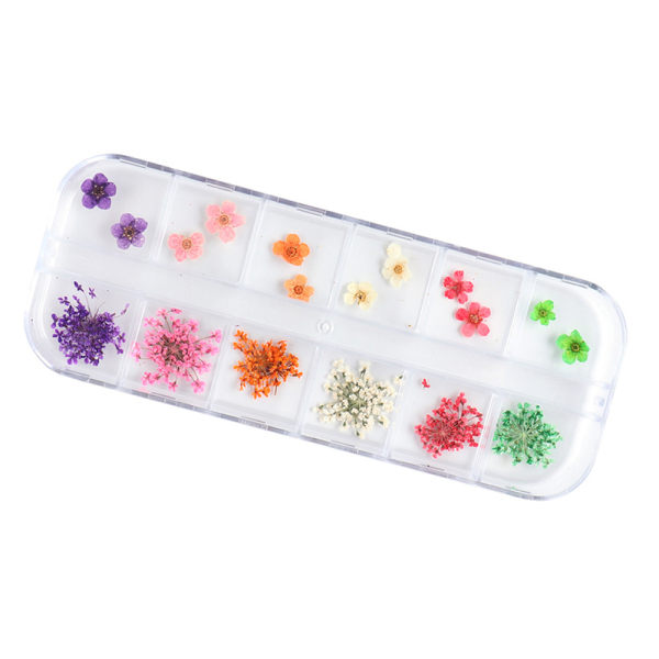 12 Grid Torr Blomma Fin Glitter Nail Art Dekoration Färgglada Nageltillbehör för kvinnor 35