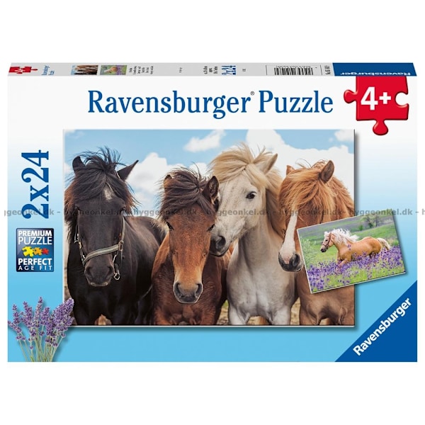 Horse Friends - 2x24 Bitar