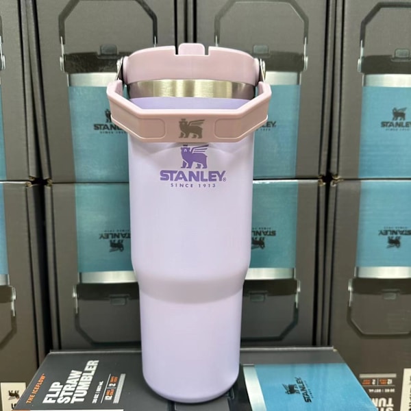 Vattenkopp i rostfritt stål handhållen isolerad kopp bilkopp purple 30OZ