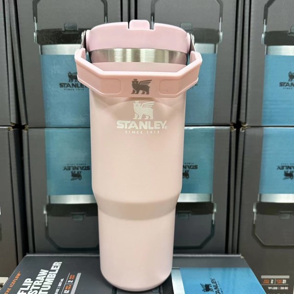 kopp Vattenkopp i rostfritt stål handhållen isolerad kopp bilkopp Light Pink 30OZ