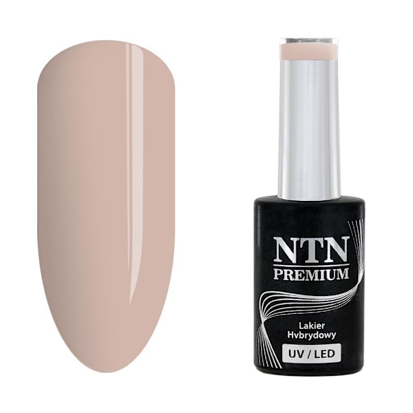 NTN Premium - Gel polish - Day Dreaming - Nr62 - 5g UV gel/LED Beige
