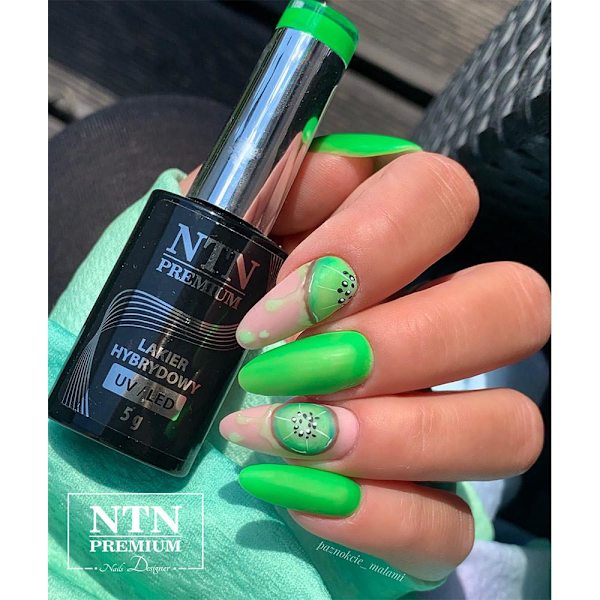 NTN Premium - Gel polish - Delight Sorbet - Nr146 - 5g UV gel/LED Green