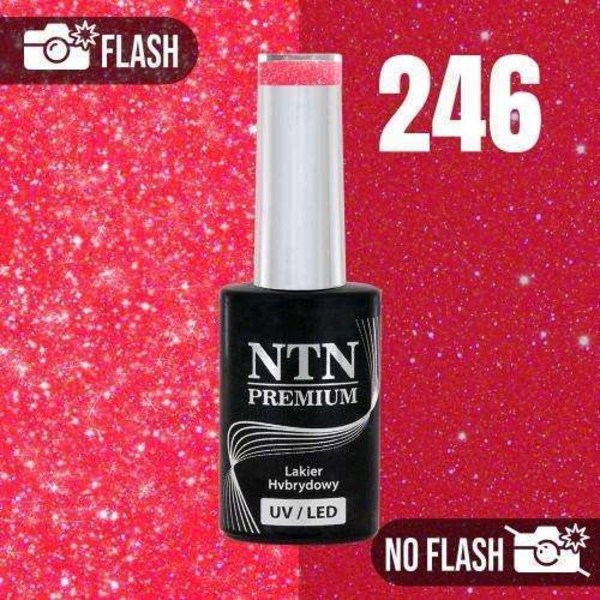 NTN Premium - Gellack - Moonlight Glow - Nr246 - 5g UV-gel / LED