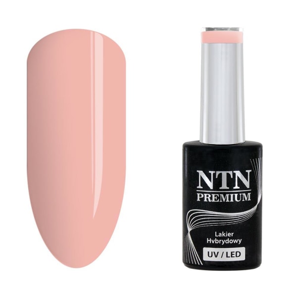 NTN Premium - Gellack - Day Dreaming - Nr59 - 5g UV-gel / LED Beige