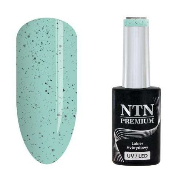 NTN Premium - Geelilakka - Sugar Puff - Nr183 - 5g UV-geeli/LED