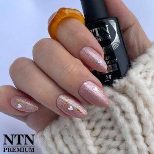 NTN Premium - Gellack - Passion for Love - Nr199 - 5g UV-gel/LED