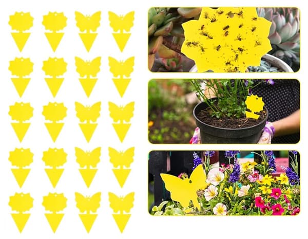 60-pack Fluefangere - Fluefælde - Sød og effektiv BLOMMA