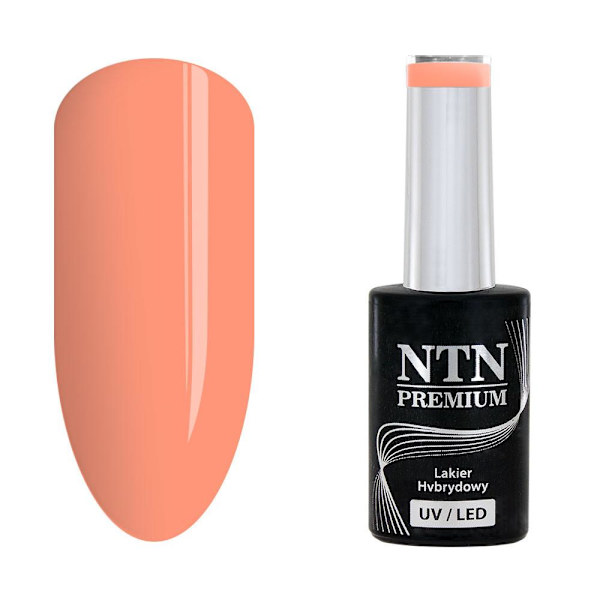 NTN Premium - Geelilakka - Delight Sorbet - Nr152 - 5g UV geeli/LED Apricot