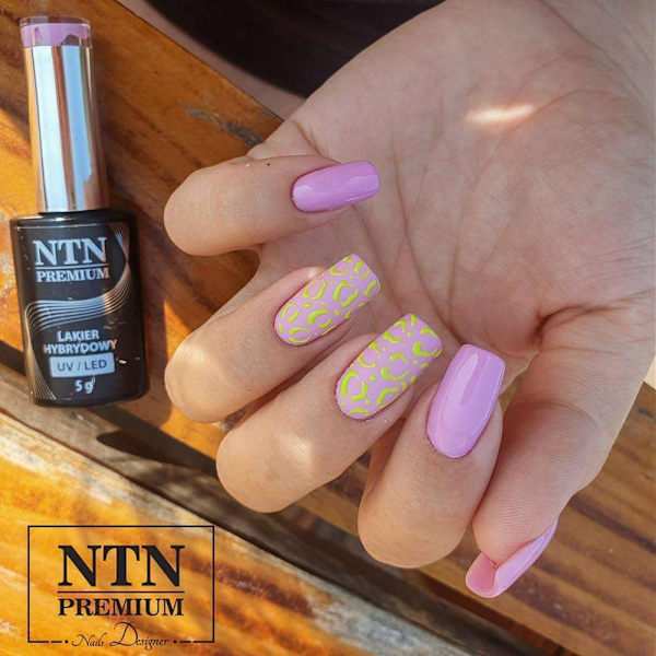 NTN Premium - Geelilakka - Garden Party - Nr175 - 5g UV-geeli/LED