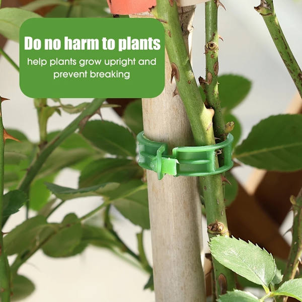 Växtklämmor för Plantstöd/Spaljé 100-pack Svart