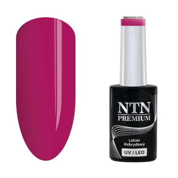 NTN Premium - Gel polish - Celebration - Nr171 - 5g UV gel/LED Purple