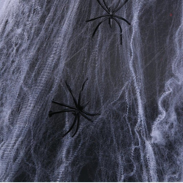 Halloween - Spider Web / Spider Web med 2 Edderkopper Black