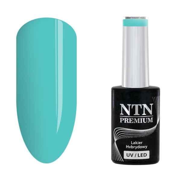 NTN Premium - Gellack - Jälkiruokakokoelma - Nr95 - 5g UVgeeli / LED Light blue