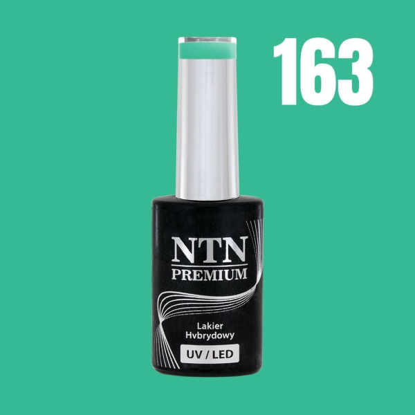 NTN Premium - Gellack - Celebration - Nr163 - 5g UV-geeli / LED Green