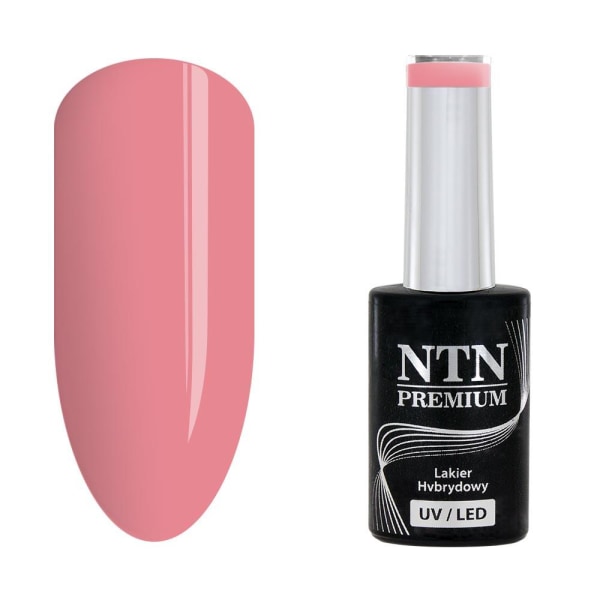 NTN Premium - Gellack - Jälkiruokakokoelma - Nr92 - 5g UVgeeli / LED Pink
