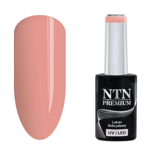 NTN Premium - Gel polish - Miss Universe - Nr31 - 5g UV gel/LED