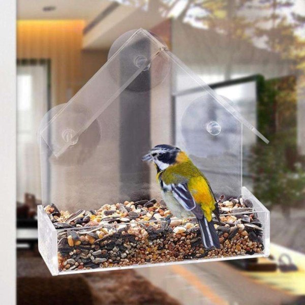 Fågelmatare för fönster - Utenu Fönster - Fågelautomater Svart