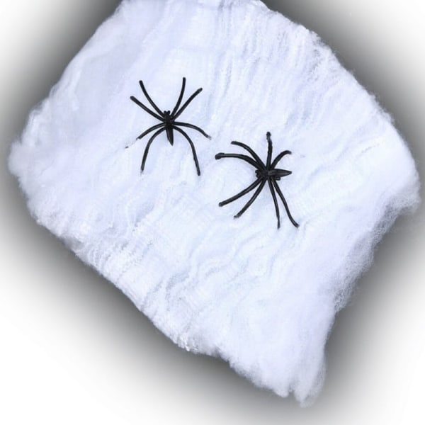 Halloween - Spider Web / Spider Web med 2 Edderkopper White