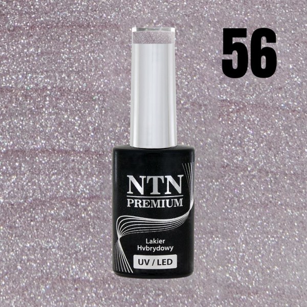 NTN Premium - Gel polish - Day Dreaming - Nr56 - 5g UV gel/LED Silver