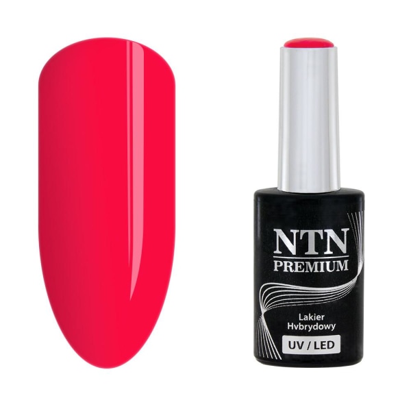 NTN Premium - Gellack - Jälkiruokakokoelma - Nr91 - 5g UVgeeli / LED Red