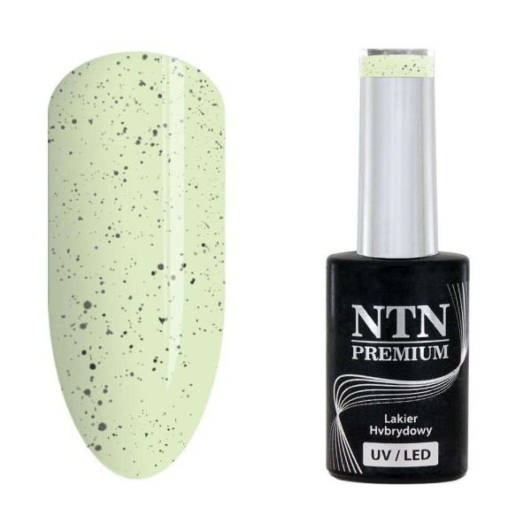 NTN Premium - Gel polish - Sugar Puff - Nr184 - 5g UV gel/LED