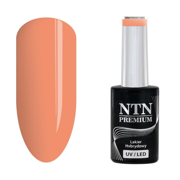 NTN Premium - Gellack - Suunnittele tyylisi - Nr37 - 5g UV-geeli / LED Apricot