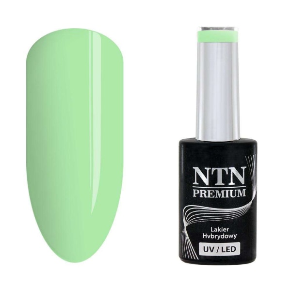 NTN Premium - Gellack - Puutarhajuhla - Nr179 - 5g UV-geeli / LED